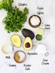 Avocado Cremawith Lime and Cilantro- Peel with Zeal